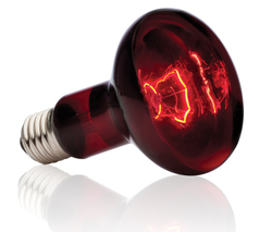 Лампа инфракрасного света  для террариумов Exo Terra Heat Glo 100Вт