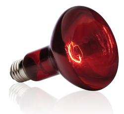 Лампа инфракрасного света  для террариумов Exo Terra Heat Glo 150Вт