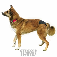 Штанишки для собак Trixie Lux, 60-70 см