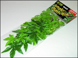 Растение для террариума Exo Terra Jungle Plants рускус, 40 х 25 см