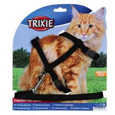 Шлейка с поводком для кошек Trixie  34-57 см, 13 мм