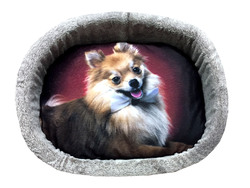 Лежак для собак 3D, 47x40x10 см