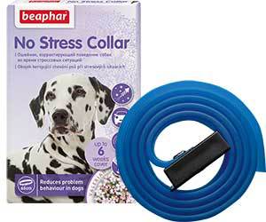 No store stress collar